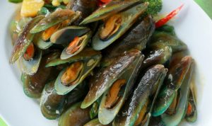 Manfaat Kerang Hijau