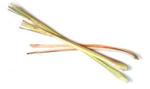 Manfaat Daun Serai Untuk Atasi 5 Penyakit Ini