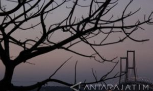 juli 2021 puncak terpanas suhu