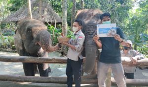 Filantra bergerak memberikan bantuan makanan untuk para Satwa di Bandung Zoo
