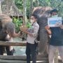 Filantra bergerak memberikan bantuan makanan untuk para Satwa di Bandung Zoo