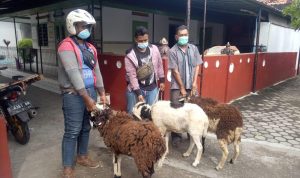 Daya Group Peduli Terhadap Sesama, Bagikan Hewan Kurban untuk Masyarakat PT Daya Adicipta Motora sebagai anak perusahaan dari Daya Group membagikan hewan kurban kepada masyarakat sekitar pada saat Hari Raya Idul Adha.