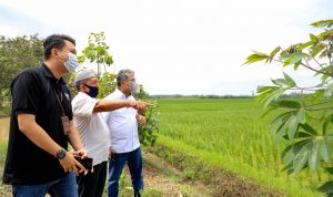 Peringati Hari UMKM Nasional, Dirut BRI Ajak Pelaku UMKM Jadi Lokomotif Kebangkitan Ekonomi Indonesia Peringati Hari UMKM Nasional, Dirut BRI Ajak Pelaku UMKM Jadi Lokomotif Kebangkitan Ekonomi Indonesia