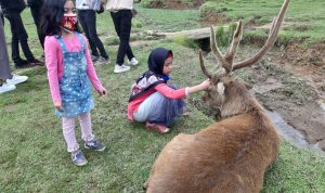 PPKM Level 3, Objek Wisata Kabupaten Bandung Masih Tutup Objek Wisata Kampung Cai Rancaupas, Kecamatan Rancabali, Kabupaten Bandung. (Yully S Yulianty/Jabar Ekspres)