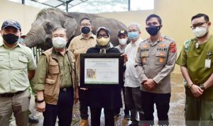 Bupati Bogor Ade Yasin berkunjung ke Taman Safari Indonesia di Kawasan Puncak, Cisarua, Kabupaten Bogor, Jawa Barat, Kamis (26/8/2021). (ANTARA/HO-Pemkab Bogor)
