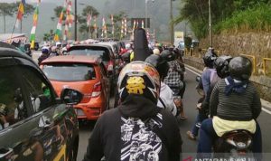 Kondisi lalu lintas di Jalur Puncak, Cisarua, Kabupaten Bogor, Jawa Barat, Minggu (29/8/2021). (ANTARA/M Fikri Setiawan)