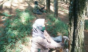 Pemanfaatan Getah Pohon Pinus di area lahan hutan milik Perhutani