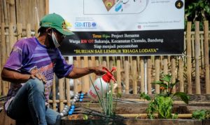 Program Kebun Teras Hijau yang digagas Distan Karawang membagikan benih sayuran.