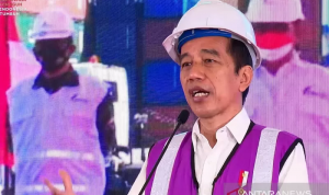 Jokowi Bahas Rencana Ekspor Beras RI