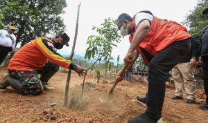 Pemerintah Kota Bandung Terus Berupaya Produktifkan Lahan TANAM POHON: Wakil Walikota Bandung Bersama Dansektor 22 melakukan penanaman pohon.