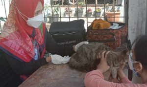 Salah satu petugas Dispangtan Kota Cimahi lakukan cek suhu pada hewan peliharaan milik warga, Jumat (20/8).(Intan Aida/Jabar Ekspres)