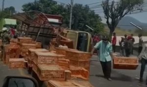 Evakuasi truk pengangkut ayam yang terguling. (Tangkapan layar warganet)