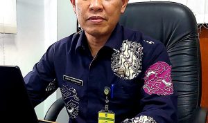 Yuli Asmawati, Wakili Jawa Barat pada Lomba Pustakawan Berprestasi Tingkat Nasional