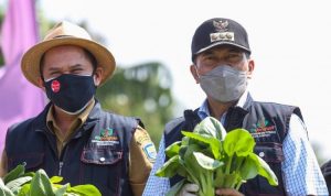 Wali Kota Bandung Oded M Danial dan Kepala DKPP Kota Bandung Gin Gin Ginanjar. (Foto: Humas Pemkot Bandung)