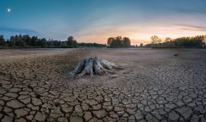 Terdampak Fenomena El Nino, Beberapa Wilayah Banten Kekeringan