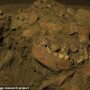 Kerangka manusia purba di Sulawesi. Foto: Leang Panninge Research Project