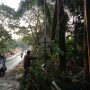 Beberapa tumbangnya pohon dan kendornya kabel listrik akibat hujan angin kencang di Jalan Rd. Demang Hardjakusumah, Dok. Intan Aida/Jabar Ekspres
