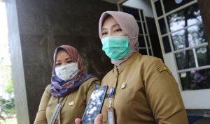 DPKP Terus Rawat Taman Selama Pandemi, Namun Vandalisme Masih Marak Dok.Kepala Bidang Pertamanan DPKP Kota Bandung, Rikke Siti Fatimah