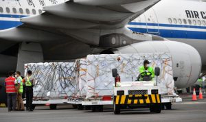 1,8 Juta Vaksin Sinovac Telah Tiba di Indonesia Indonesia kedatangan vaksin COVID-19 sebanyak 1.808.040 dosis vaksin COVID-19 produksi Sinovac dalam bentuk jadi melalui fasilitas COVAX, Selasa (14/9/2021). ANTARA/HO-Amiriyandi/InfoPublik/Kominfo