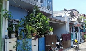 Tim Densus 88 Tangkap Dua Terduga Teroris di Bekasi Utara Kondisi sekitar rumah terduga teroris, usai penangkapan oleh Densus 88 Antiteror Polri, Jumat (10/9/2021). ANTARA/Pradita Kurniawan Syah