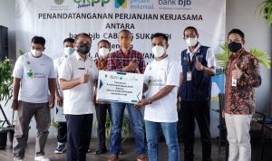 Kelompok Ternak Sapi Lakukan Kerja sama Kemitraan dengan bank bjb