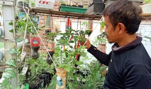 Media tanam berbahan bekas yang dimanfaatkan oleh Deni, Sabtu (18/9)(Intan Aida/Jabar Ekspres)