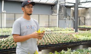 Kementan Sebut Regenerasi Petani Muda Mulai Terlihat Salah seorang petani milenial. ANTARA/HO-Kementerian Pertanian