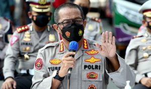 luhut haris fatia laporan perkembangan data tambang papua