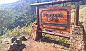 Tiga Peserta Kemping di Nangorak Camp Sumedang Tewas, Begini Kronologisnya Nangorak Camp sumedang
