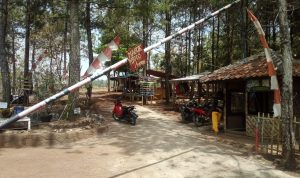 Pintu Masuk Obyek wisata Jati Pesona Ciwangi di Kabupaten Garut yang dikelola Bumdes Desa