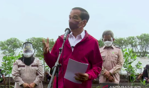 Tangkapan Layar - Presiden Jokowi usai menanam Mangrove bersama masyarakat di Kabupaten Bengkalis, Riau, Selasa (28/9). (ANTARA/Indra Arief)