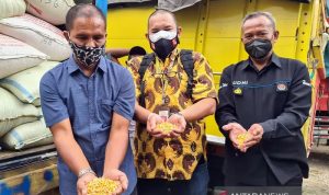 Peternak ayam petelur Suroto (kiri) bersama perwakilan dari Sekretariat Presiden menunjukkan kondisi jagung bantuan dari Presiden Joko Widodo saat penyerahan di Blitar, Jawa Timur, Senin (20/9/2021). ANTARA/HO-Humas Polres Blitar Kota/aa.