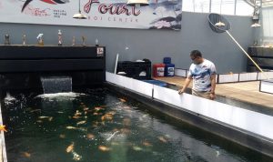 Dari Hobi Pelihara Ikan Koi, Menjadi Bisnis Hingga Meraup Puluhan Juta Owner Fourt Koi Center, IPDA Deni Fourtjahyanto usai diwawancara, Minggu (19/9). (Yully S Yulianty/Jabar Ekspres)