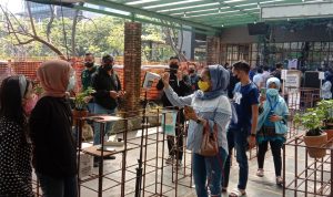 Puluhan Pengunjung Mall Kota Bandung Terdeteksi Positif Covid-19, Ini yang Akan Dilakukan Disdagin Puluhan Pengunjung Mall Kota Bandung Terdeteksi Positif Covid-19, Ini yang Akan Dilakukan Disdagin