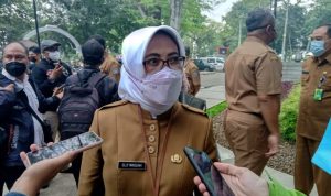 Kepala Disdagin Kota Badnung, Elly Wasliah.