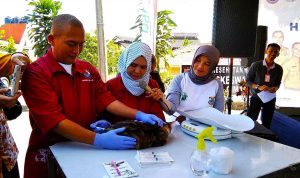 Vaksinasi Rabies Gratis Dihelat Besok, Catat Tanggal dan Tempatnya