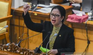 Puan Maharani Berjanji Akan Sampaikan Aspirasi Mahasiswa ke Pemerintah