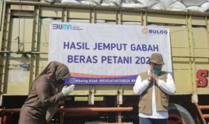 Kegiatan penyerapan gabah atau beras dari petani oleh Perum Bulog. ANTARA/HO-Perum Bulog.
