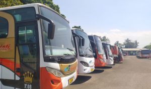 Bisnis Jasa Transportasi Bus Pariwisata di Ujung Tanduk