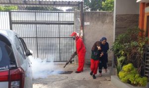 Petugas kesehatan melakukan fogging di lingkungan rumah warga.