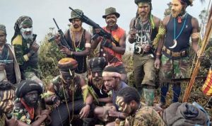 KKB PAPUA. Kelompok Kriminal Bersenjata itu terus melakukan tindakan keji di Papua. Terakhir mereka membunuh tenaga kesehatan (nakes) dan melakukan pembakaran fasilitas umum. (istimewa)