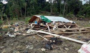 Rumah warga roboh diamuk gajah di Desa Bunin Serbajadi, Aceh Timur. ANTARA/HO