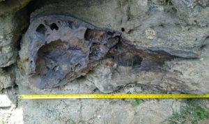 Tim Geologi ITB Temukan Fosil Purba di Waduk Saguling