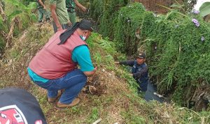 Kepala Desa Cikuya, Dadan Suganda saat menanam pohon di Desa Cikuya, Kecamatan Cicalengka, Kabupaten Bandung. *Istimewa