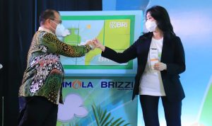 Brizzi LPG Card dan New BRIMOLA, BRI Kenalkan Cara Baru Bayar Subsidi Gas Elpiji 3 Kg