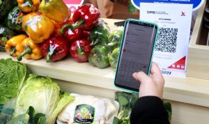 BRI Bangun Ekosistem Cashless Payment, Wisata Jadi Aman dan Nyaman Berkat QRIS