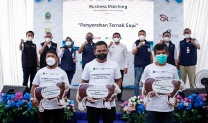 Bank bjb Dukung Akses Pembiayaan Peternak Sapi Potong Melalui Business Matching dengan Petani Milenial