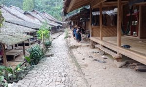 Pemukiman masyarakat Badui di Kadu Ketug Desa Kanekes Kabupaten Lebak tampak sepi sehubungan memasuki musim tanam di ladang. ANTARA.