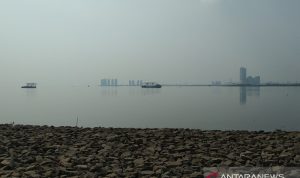 Peneliti Temukan Kandungan Paracetamol di Teluk Jakarta, Pemprov DKI Akan Dalami Dokumentasi - Suasana di kawasan Teluk Jakarta di Jakarta Utara, Kamis (26/8/2021). ANTARA/Dewa Ketut Sudiarta Wiguna