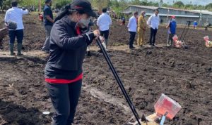 Puan dan Jokowi Tanam dan Jajan Jagung di Sorong Papua Ketua DPR RI Puan Maharani menanam jagung di Kelurahan Klamesen, Distrik Mariat, Kabupaten Sorong, Senin (4/10/2021). ANTARA/HO-Humas DPR RI